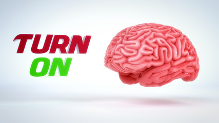 Brain, Turn On. 3D rendering - Illustration.