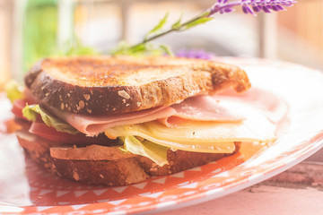sandwich with ham and cheese