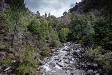 Mountain creek in Peneda Geres, Portugal.