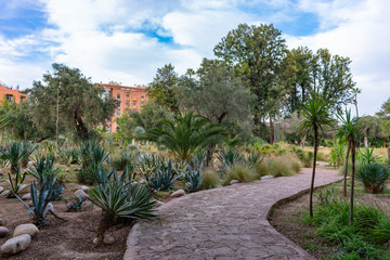 Fototapeta na wymiar Curving Path with Green Plants at Parc El Harti in Marrakech Morocco