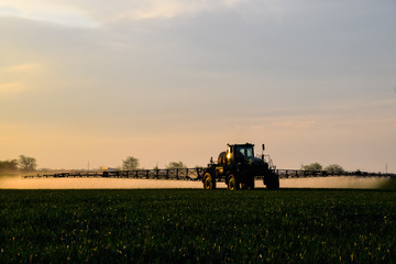 Fototapeta premium tractor with the help of a sprayer sprays liquid fertilizers on young wheat in the field.