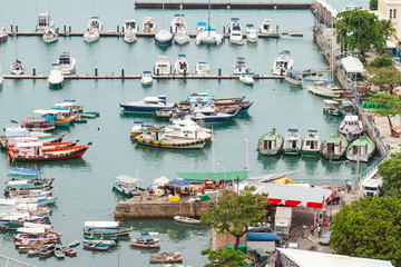 Harbor of Vessel in marina with boats