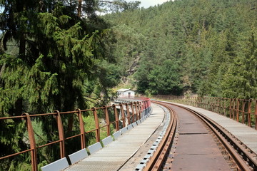 Fototapeta premium verlassene Eisenbahnbrücke