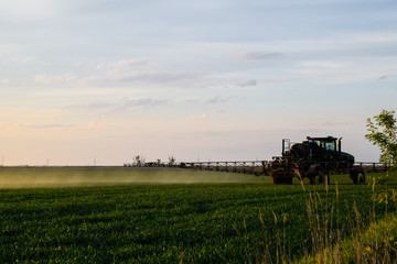 Obraz premium tractor with the help of a sprayer sprays liquid fertilizers on young wheat in the field.