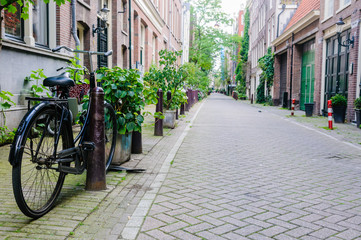Bicycle parked on an empty street in Amsterdam with lots of plants.