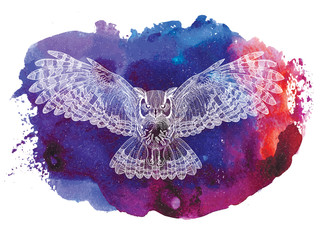  Flying owl with large wings. Dudling painting, dudling, meditation. The bird spread its wings.