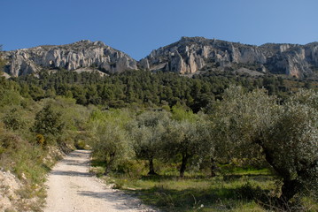 road in mountains. Els Frares limestone rock pinnacles near Quatretondeta, Sierra de Serrella, Alicante Province, Spain
