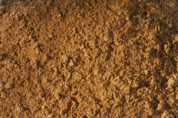 Sawdust with morning sunlight closeup for background.