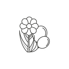 natural flower with balloons helium