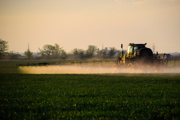 Naklejka premium tractor with the help of a sprayer sprays liquid fertilizers on young wheat in the field.