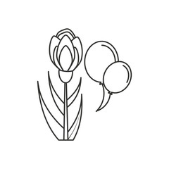 natural flower with balloons helium