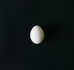 white chicken egg lies on a black isolated background top view