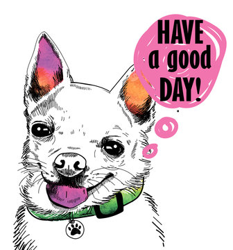  Cute picture with dog chihuahua. Hi! Have a nice day! The dog says. Postcard.