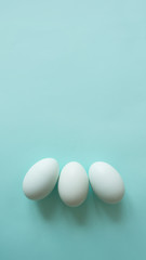 chicken eggs on a blue background bed monochrome shades, place for text, minimalism