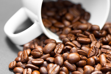 Freshly ground roasted coffee beans with fruits of coffee plant with a black background.