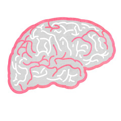 brain