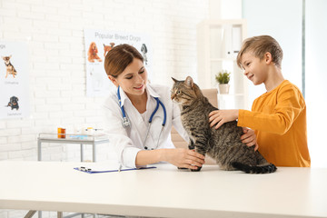 Boy with his cat visiting veterinarian in clinic
