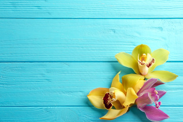 Beautiful tropical orchid flowers on blue wooden background, flat lay. Space for text