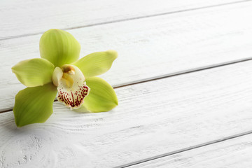 Beautiful tropical orchid flower on white wooden background. Space for text