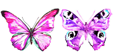 Fototapeta na wymiar beautiful pink butterfly,watercolor,isolated on a white
