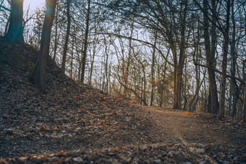 Mountain bike trails in the woods, dirt paths in Northwest Arkansas, famous attraction  area...