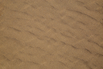 Sand texture background