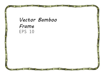 Rectangular Thin Bamboo Frame -  Realistic Vector Green Banner Isolated on White Background - obrazy, fototapety, plakaty