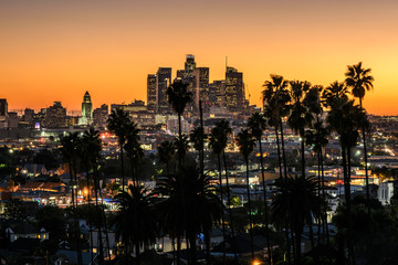 Fototapeta na wymiar Beautiful sunset through the palm trees, Los Angeles, California.