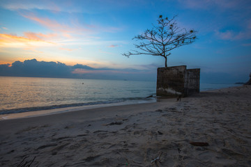 The natural background of the morning sunrise by the sea, with the trees surrounding the beach (coconut trees), blurred breezes, peaceful atmosphere and fresh air, seen during travel