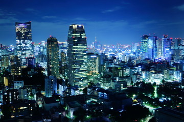 都市の夜景　東京・首都圏・日本