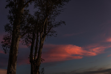 Fototapeta na wymiar pink sunset