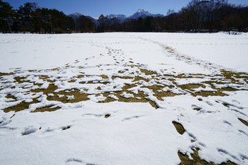 残雪も融ける春の八ヶ岳山麓