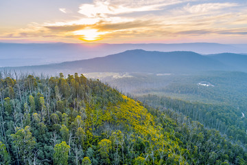 Yarra Ranges National Park at sunset