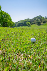Golf Course with Golf Ball on rough green. Golf is a sport to play on the turf.	