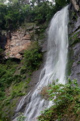 Fototapeta premium waterfall in forest