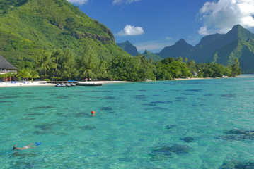 lagon de moorea polynesie française