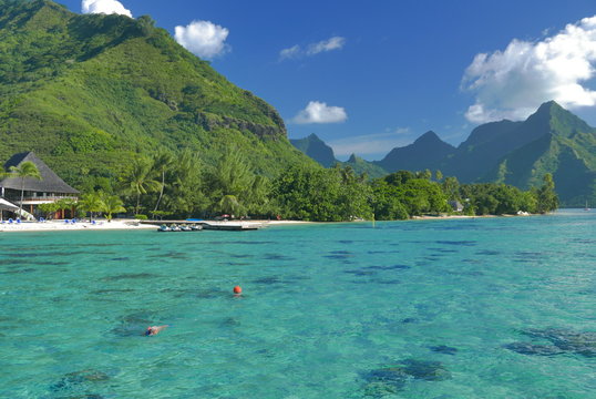 lagon de moorea polynesie fran&ccedil;aise