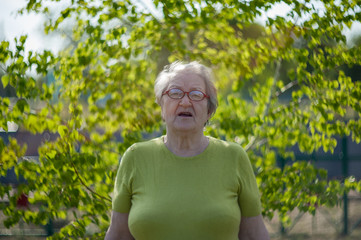 Naklejka na ściany i meble Elderly woman in yellow T-shirt and glasses posing in front of camera against background of bright green birch leaves