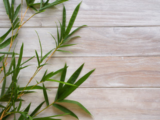 Bamboo leaves on white wooden