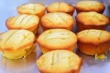 Many jackfruit cakes in white tray