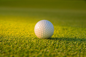 Golf ball putting on green grass  golf in game at golf course with blur background and sunlight ray