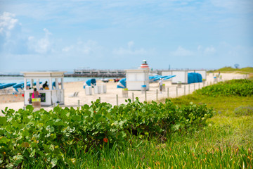 Stock photo beach sunes with blurry Miami in background