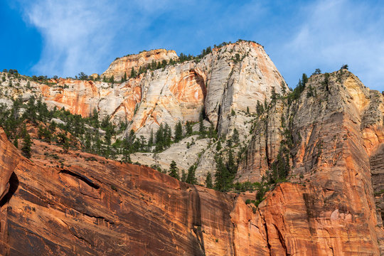 Zion national park