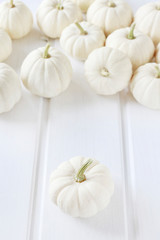 Baby boo pumpkins on white wooden table.