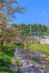 春の盛岡城の風景