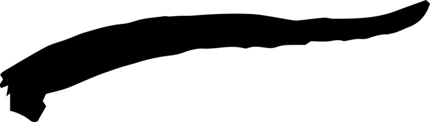 Black Winding line drawn with a brush