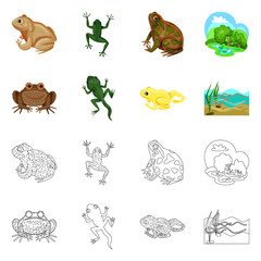 Vector design of wildlife and bog icon. Collection of wildlife and reptile stock symbol for web.