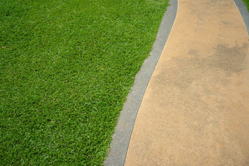 Backgrounds Lawn green path walkway