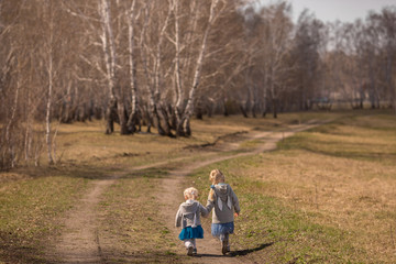 Fototapeta premium girlfriends walk in a birch forest of Russia