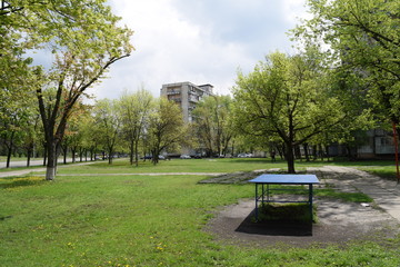 View of the green Park in the city.